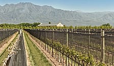 Mendoza