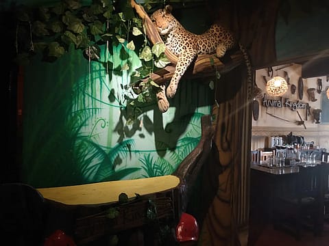 Animal Kingdom 3