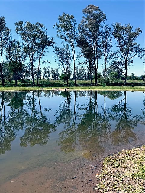 Finca Eucaliptos 4
