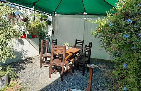 Eventos Alegría 4