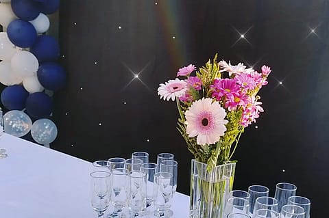 Trica Eventos 3