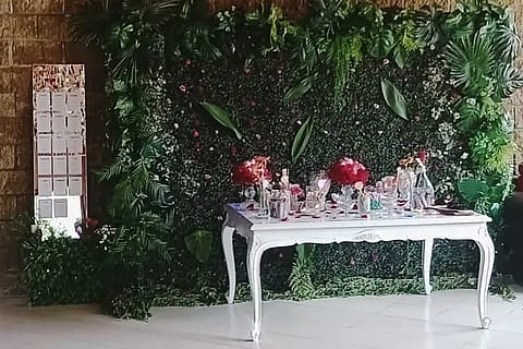 Trica Eventos 5