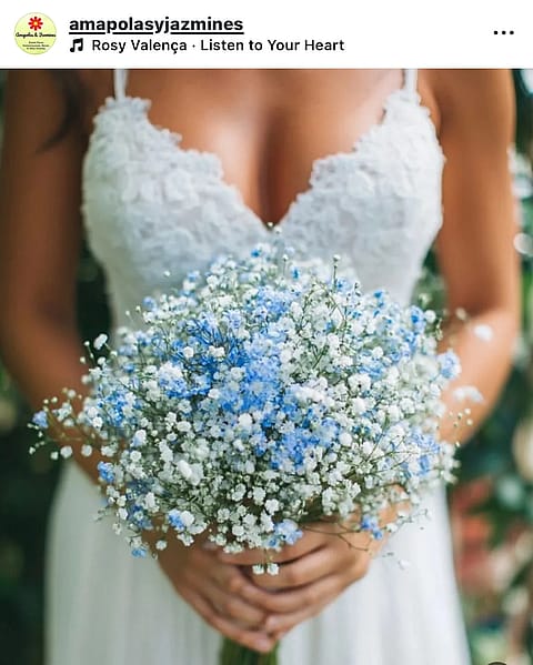 Amapolas y Jazmines 3