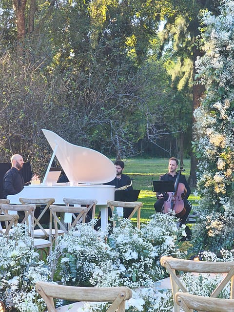 Grand Piano Móvil 5