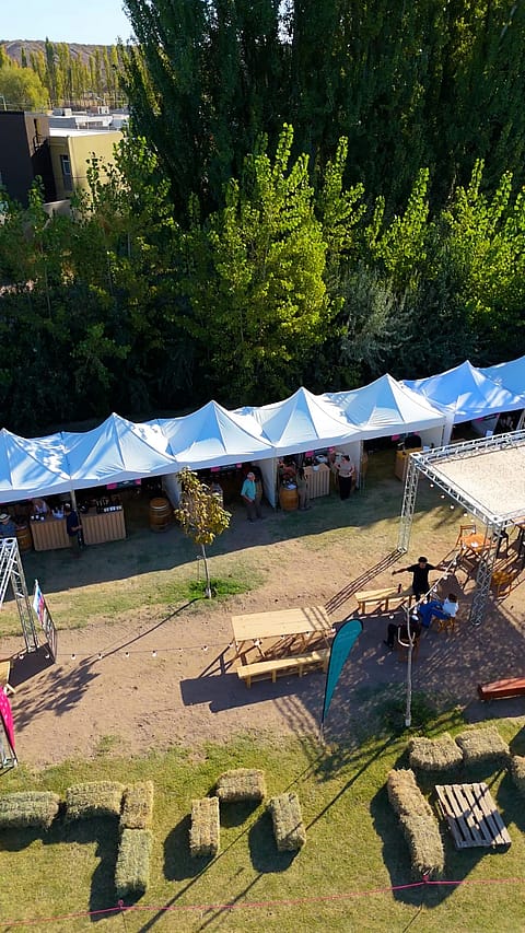 Carpas plegables Neuquen 5