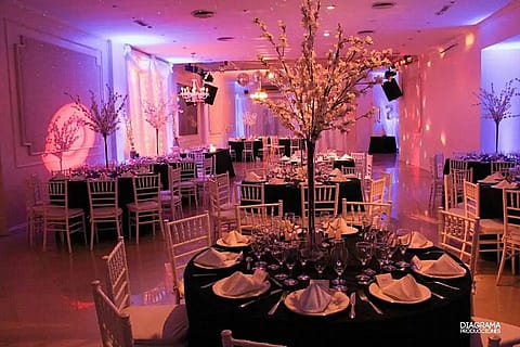Estilo Coghlan 2