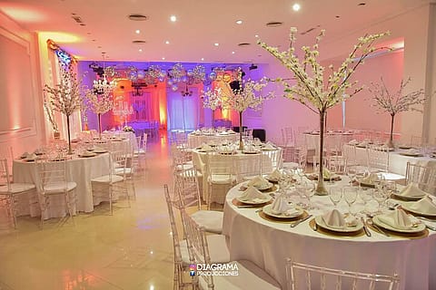 Estilo Coghlan 5