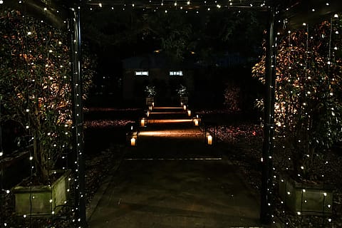 San Isidro Park 4