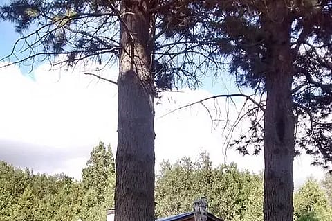 Tu Lugar en los Km Hueney 5