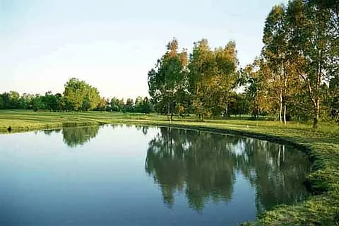 Los Ombúes 5