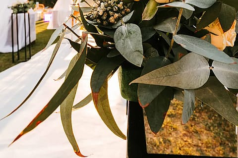 La Campiña 3