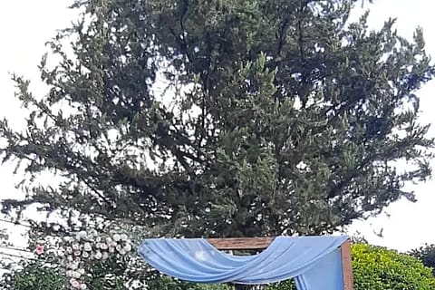 La Posada del Rey 4