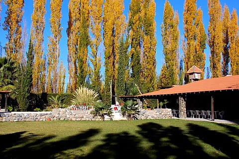 Quinta Palma 2