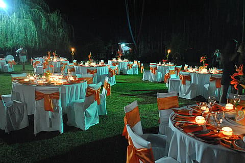 Quinta Palma 5