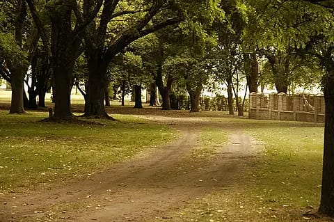 Loma Pampa 2
