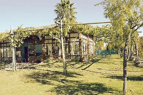 Los Artesanos 5