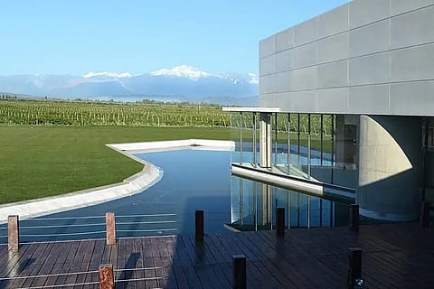 Bodega Don Manuel Villafañe 5