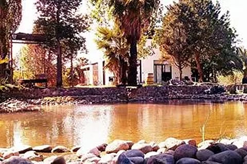 Casa del Alma 5