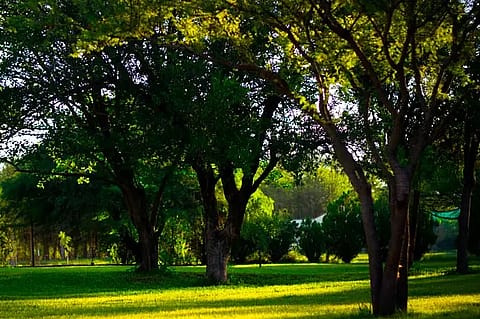 Estancia Santa Leocadia 4
