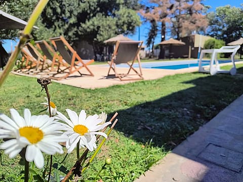 Las Moras Multiespacio 3