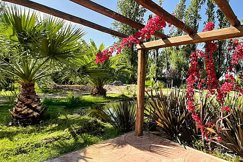 Entre Olivos Eventos 3