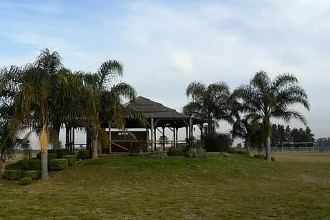 Los Charitos