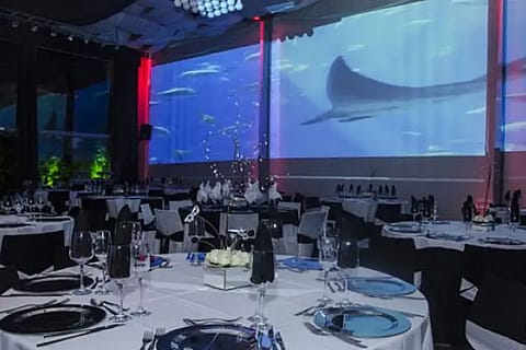 Bis Eventos 3
