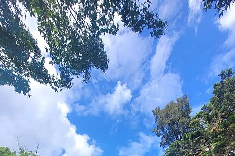 La Renata 2