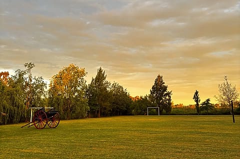 Campo Naranjo