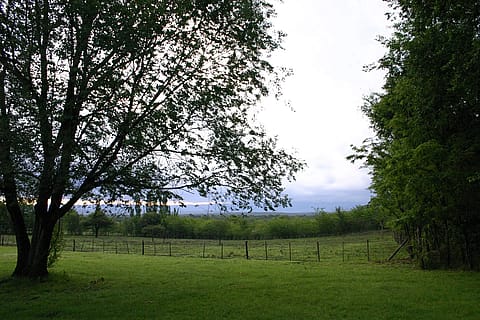 Landhaus 5