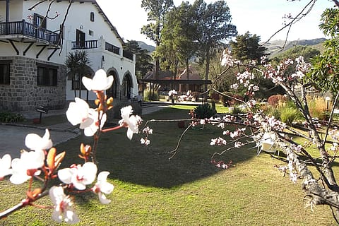 Alto San Pedro 2