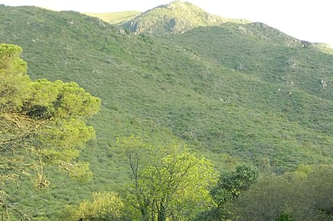 Alto San Pedro 3