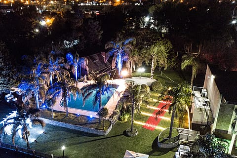 Zebra Lago Eventos