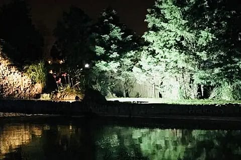 Zebra Lago Eventos 2
