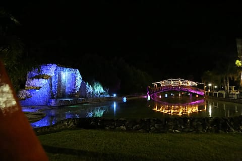 Zebra Lago Eventos 4