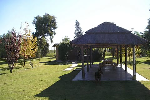 Olivares de San Roque 2