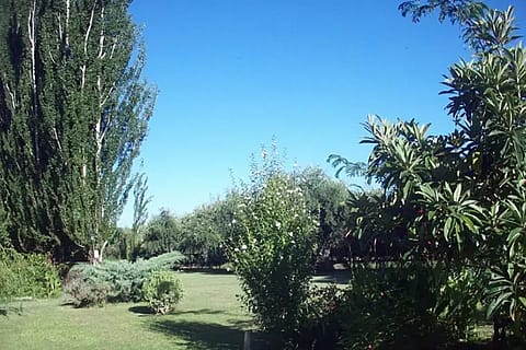 La Guatana 3