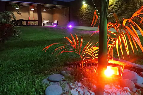 Espacio Tamarindo 3