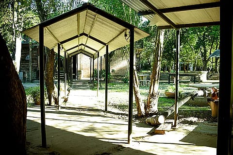 El Molino 5