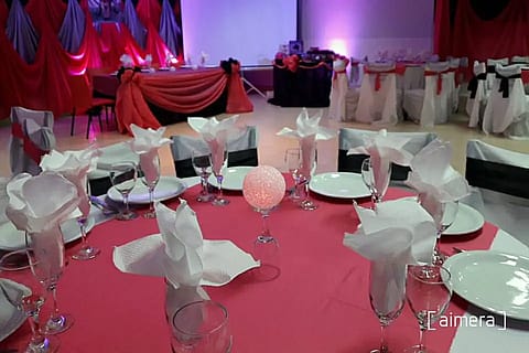 Érica Eventos 2