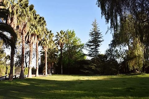 La Josefina 5
