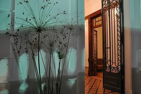 Salón Del Carmen 2