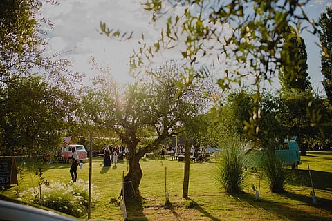 La Guadalupe 2