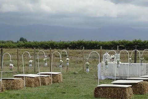 Bodega La Azul 2