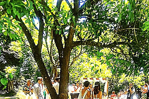 El Portal Salón de Eventos 4