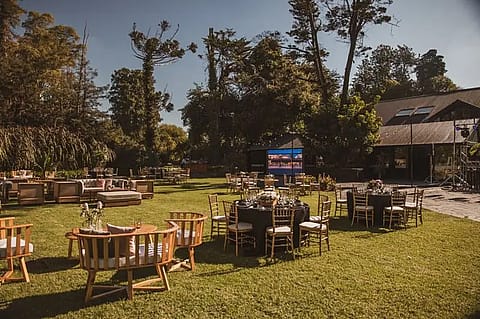 Jano's Hurlingham 5