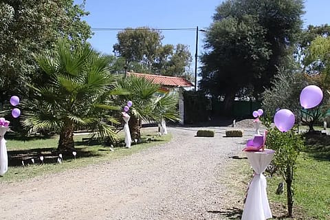 Los Abetos 2