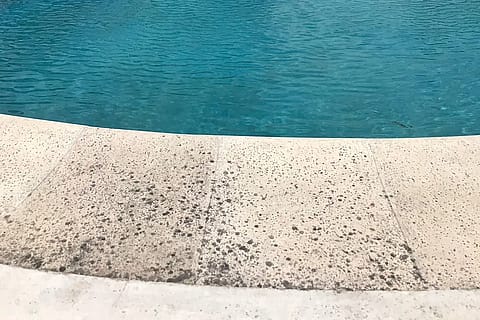 Quinta Muñecas 4