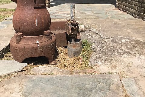 Quinta Muñecas 5