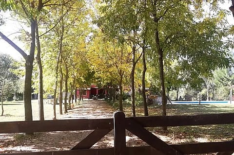 Oasis Campero 2